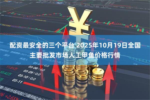 配资最安全的三个平台 2025年10月19日全国主要批发市场人工甲鱼价格行情