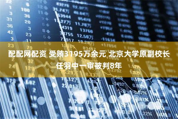 配配网配资 受贿3195万余元 北京大学原副校长任羽中一审被判8年